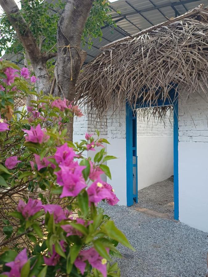 Hostel Calaila 바르칼라 외부 사진